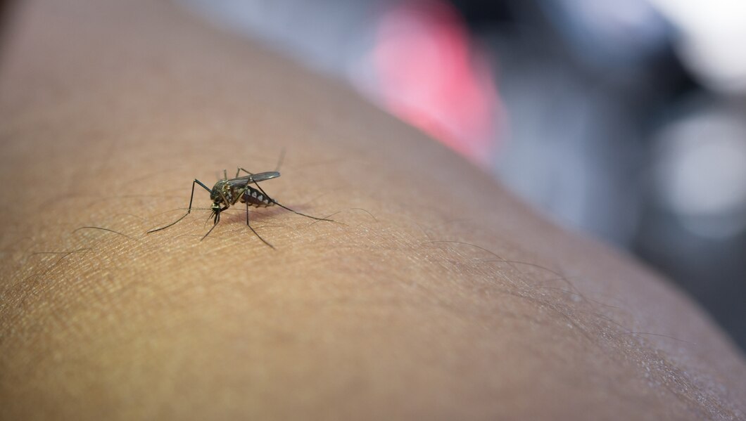 Jak odstraszacze na komary mogą poprawić twoje letnie wieczory?